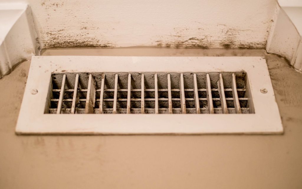 Moldy air vent